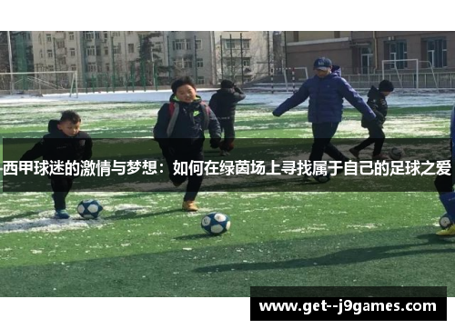 西甲球迷的激情与梦想：如何在绿茵场上寻找属于自己的足球之爱